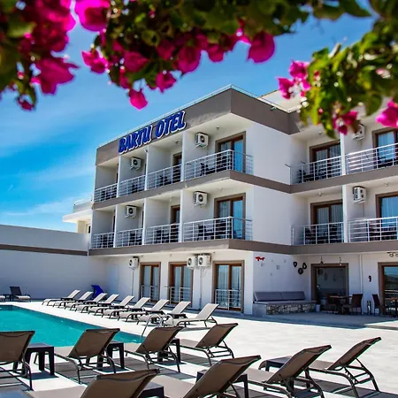 Hotel Bartu *